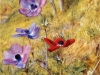 anemones1876 Henry_ Roderick_ Newman