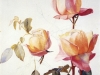 florentine-roses-1881 Henry_ Roderick_ Newman