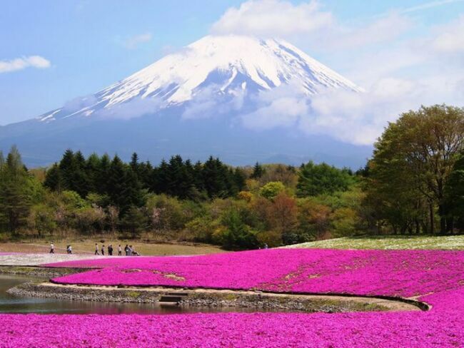 Гора фудзияма в Японии фото