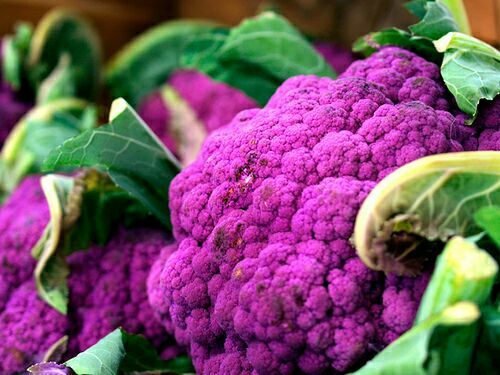 фиолетовые овощи