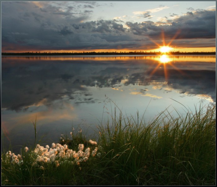 Красивые фотографии природы Yuri Ovchinnikov