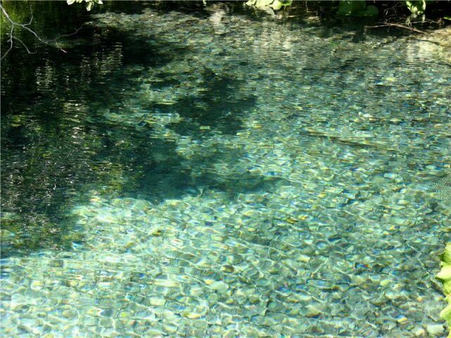 Прозрачная вода Плитвицких озер в Хорватии