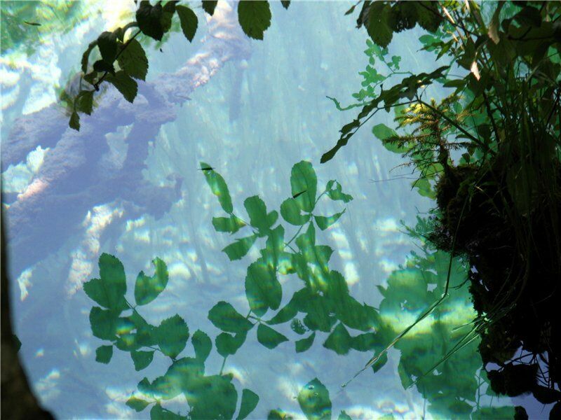 Отражения воды в Плитвицких озерах  Хорватии