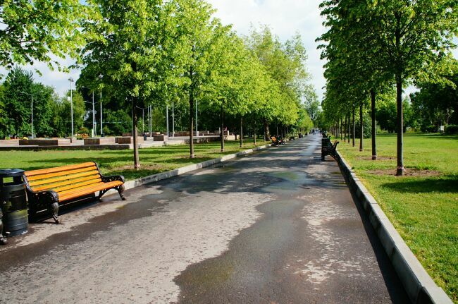 фото аллей парка Горького