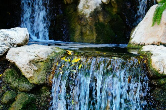 ручьи водопады на фото в райском саду
